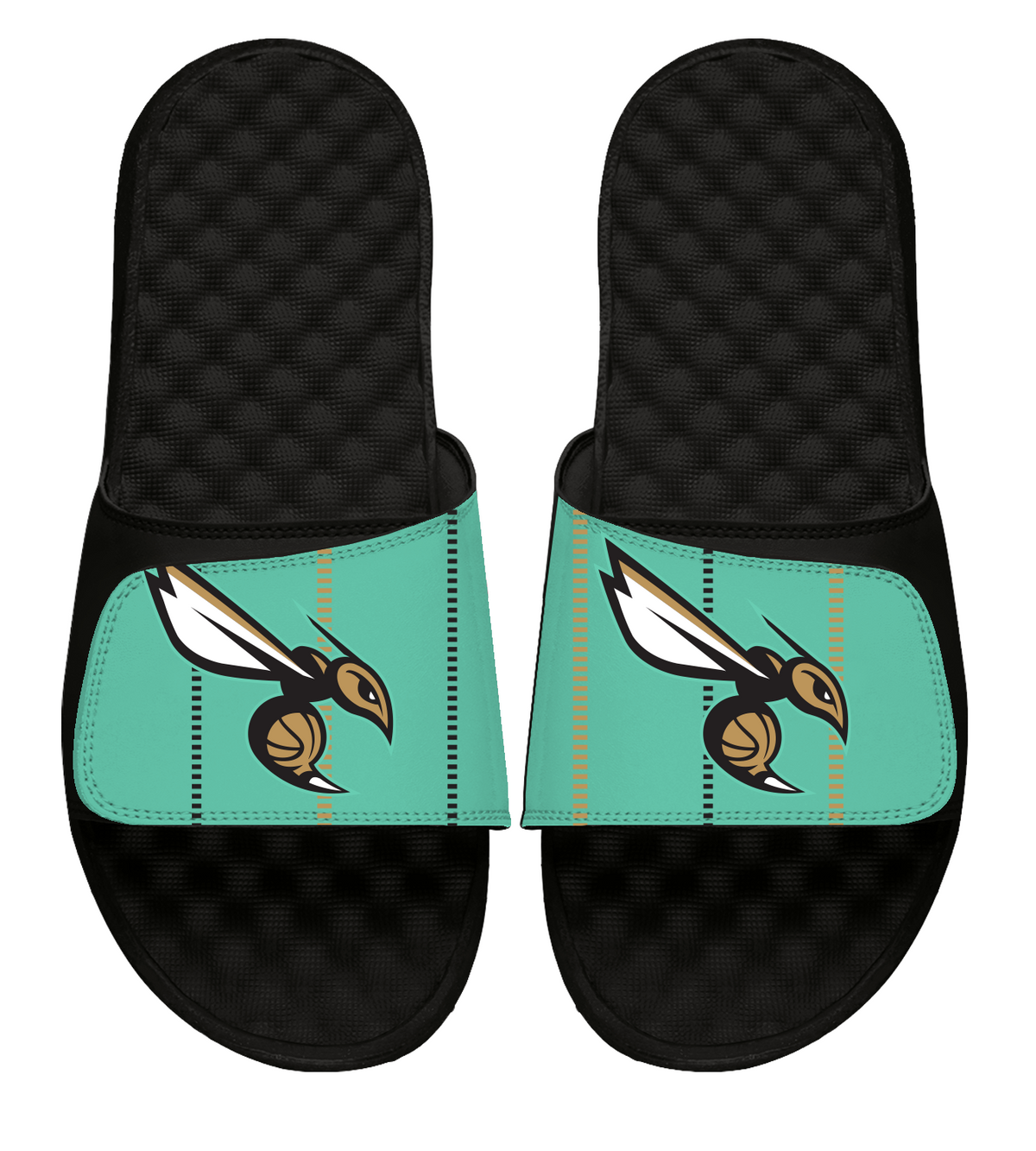 Charlotte Hornets 2024/25 City Edition 1
