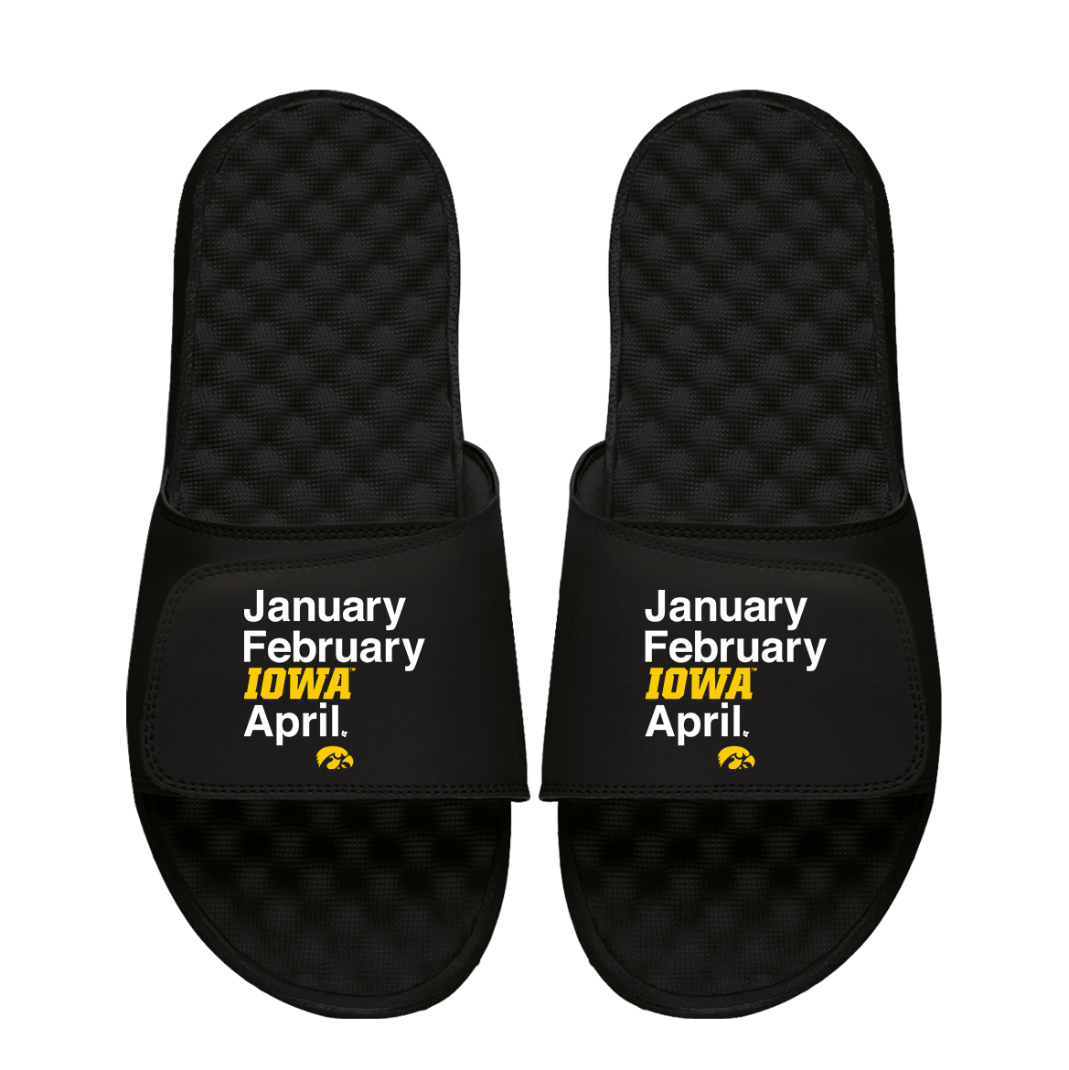 Iowa Hawkeyes Basketball Months 1