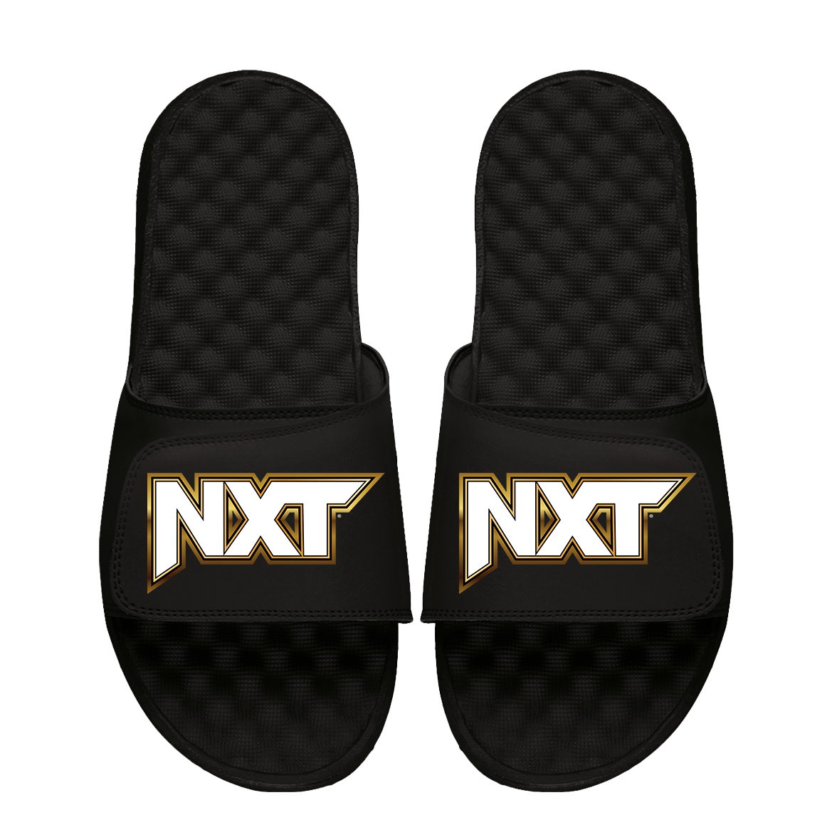 NXT Wordmark Slides 1