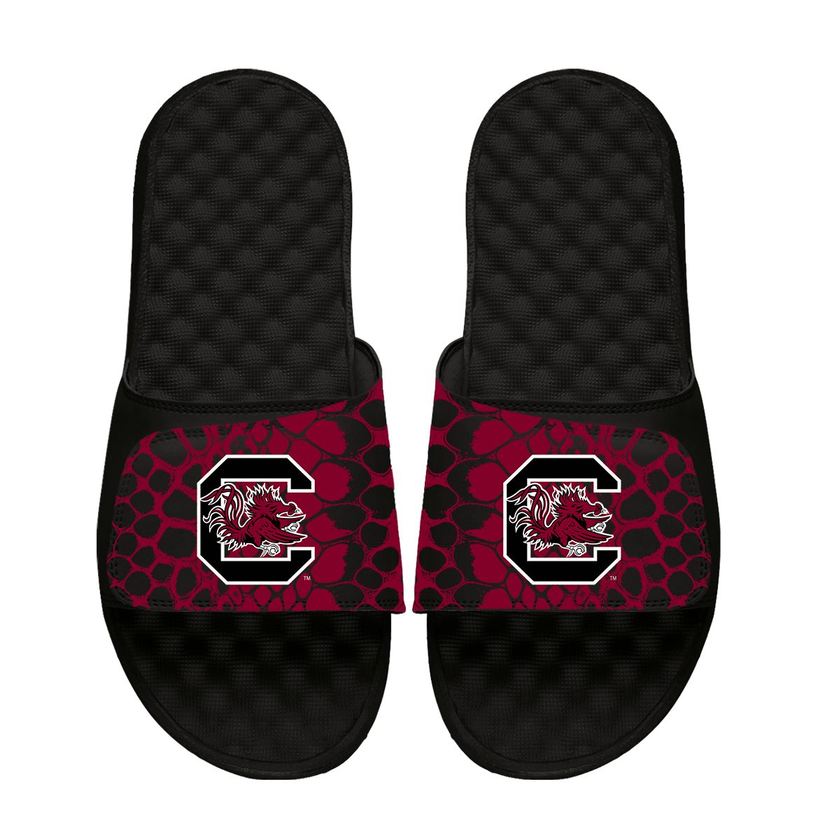 South Carolina Gamecocks Year of the Snake 1