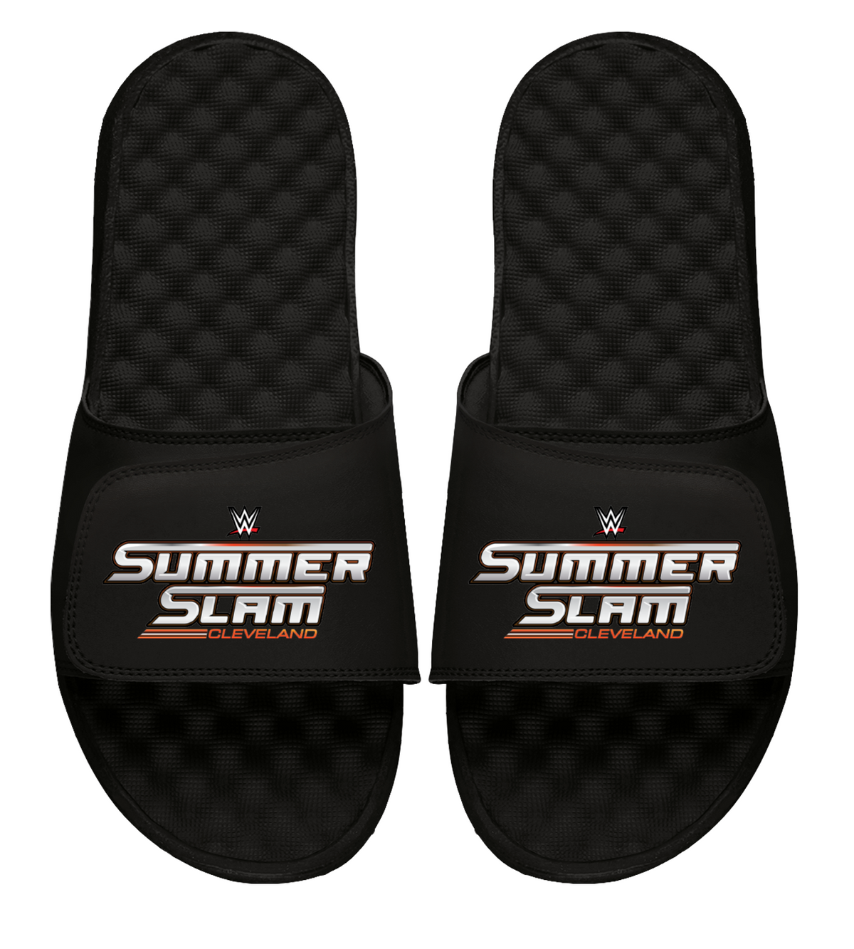 WWE 2024 Summer Slam 1