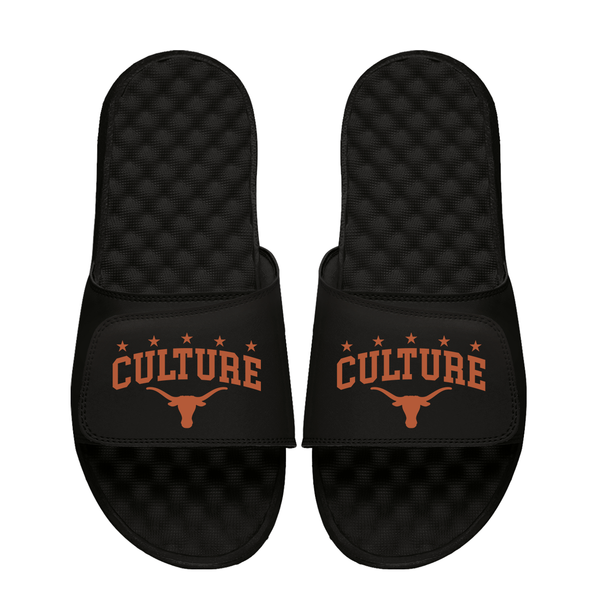 Texas Longhorns Culture 1