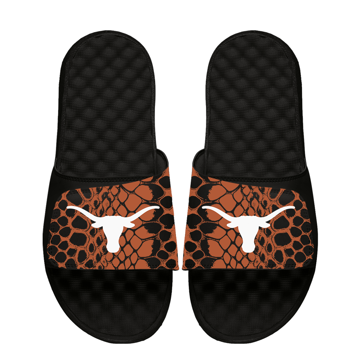 Texas Longhorns Year of the Snake 1