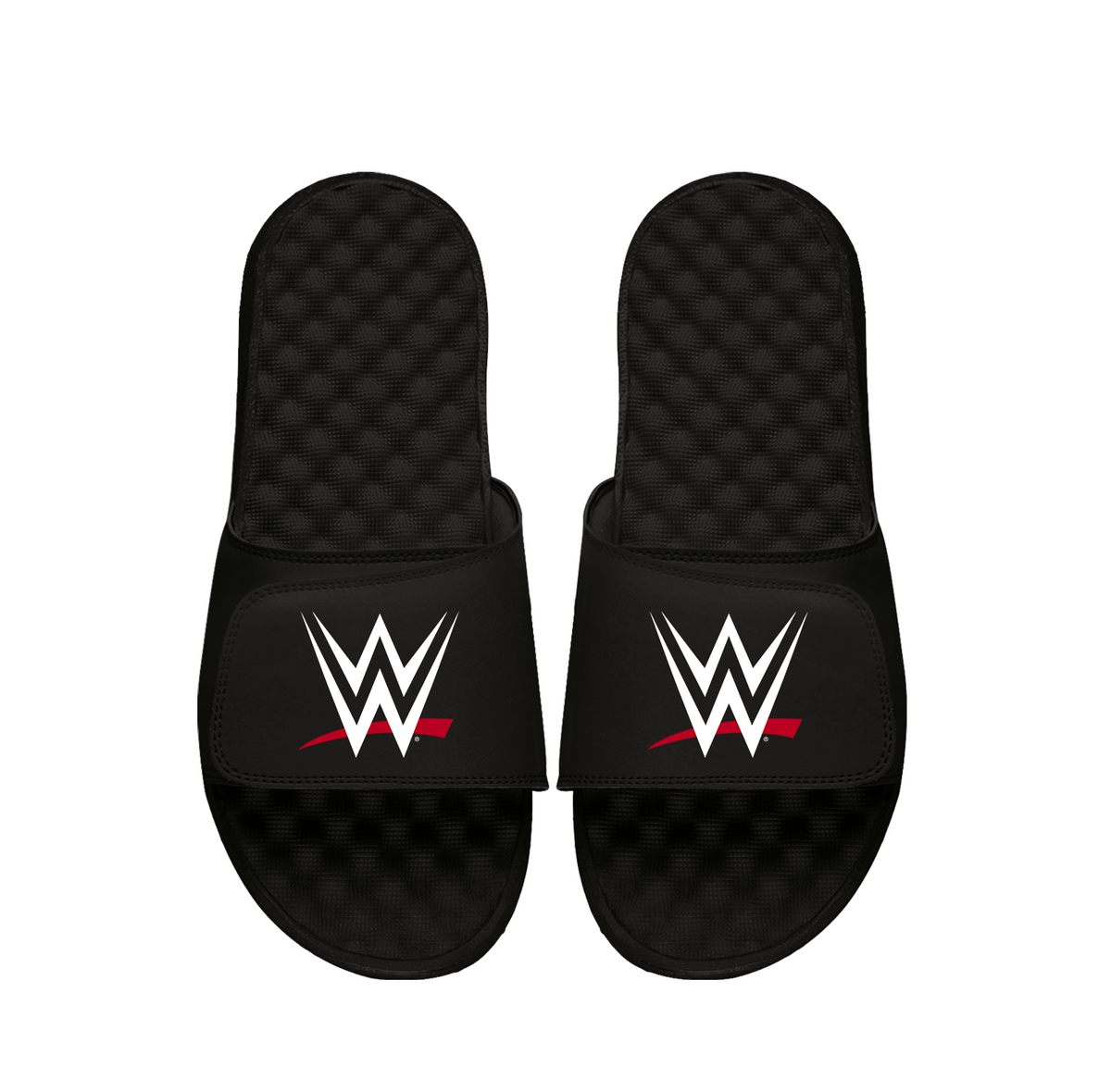 WWE Primary Logo Slides 2