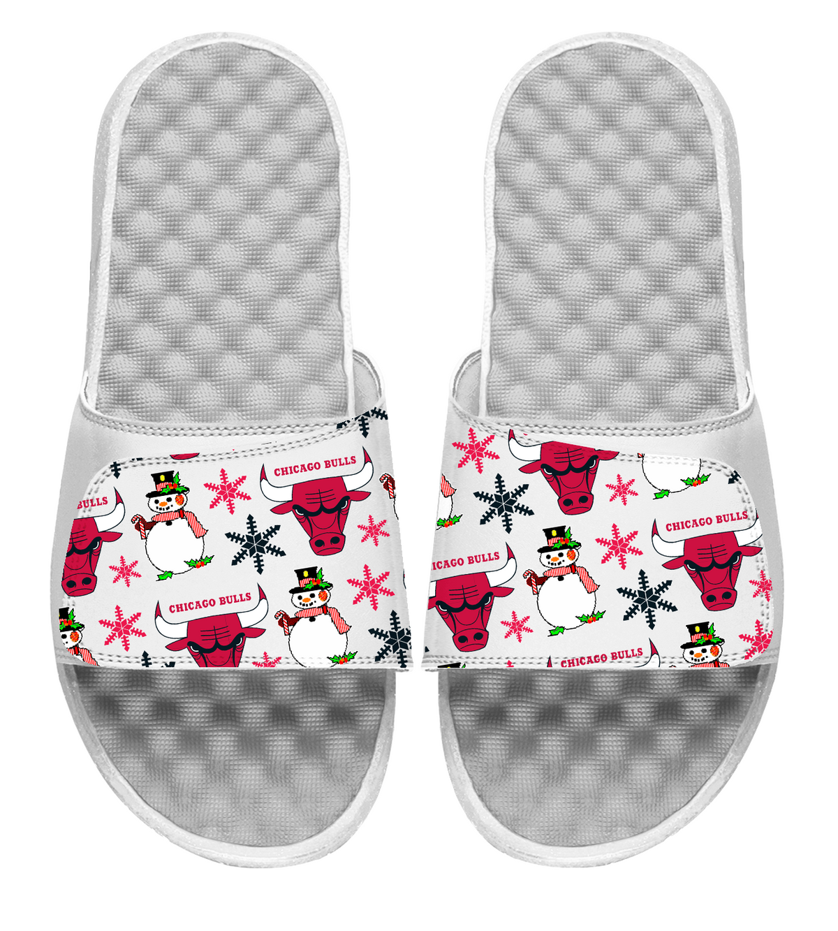 Chicago Bulls NBA Holiday Slides 2
