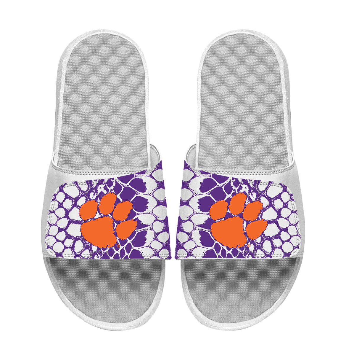 Clemson Tigers Year of the Snake 1