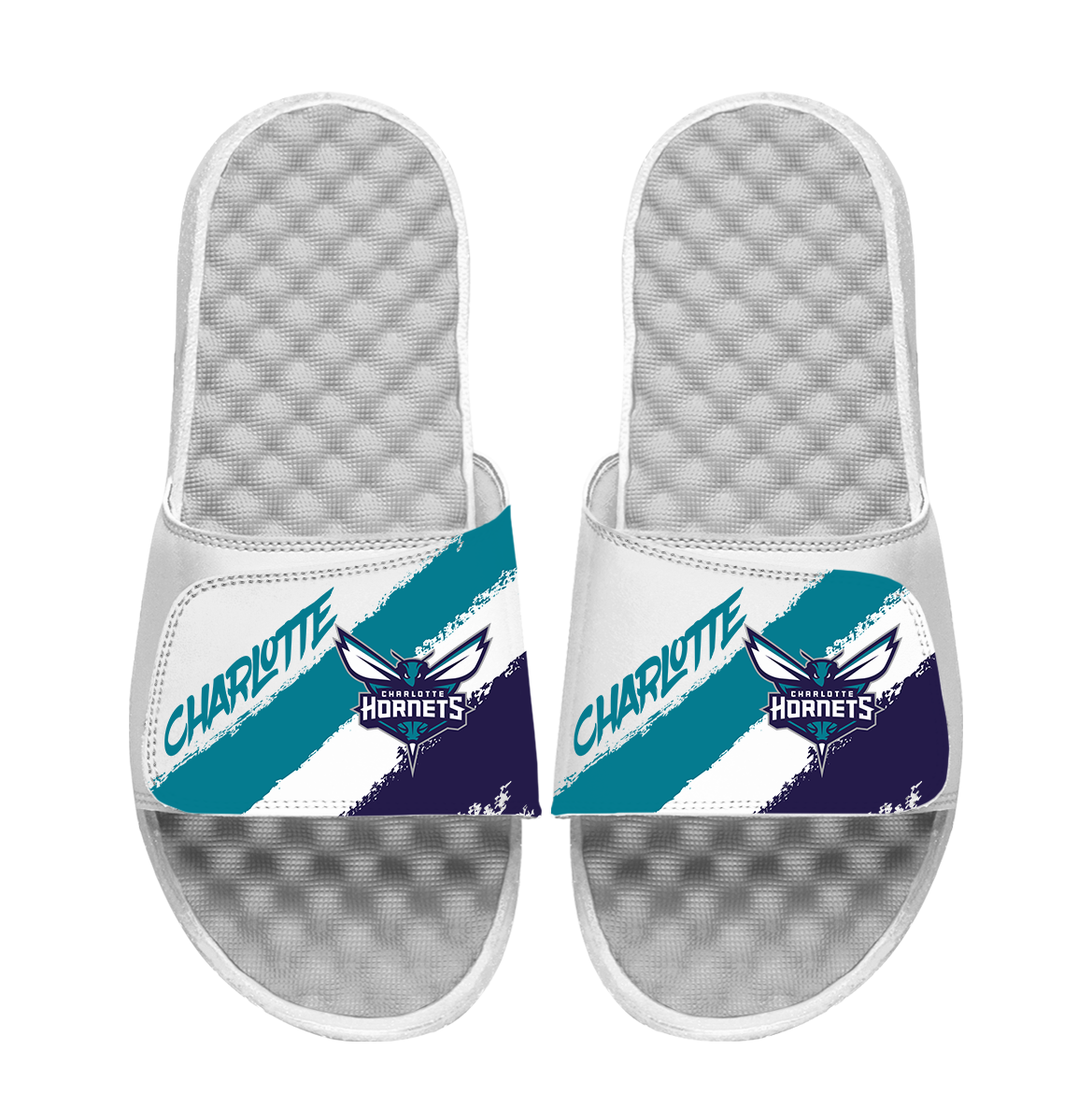 Charlotte Hornets Paint Stripes 1