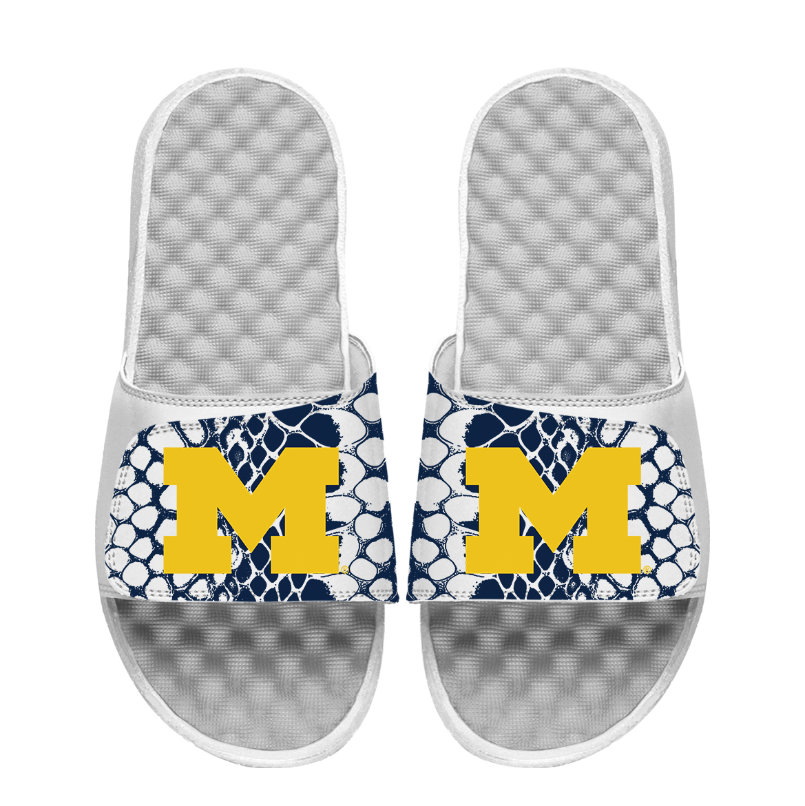 Michigan Wolverines Year of the Snake