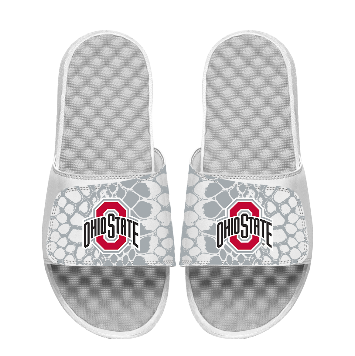 Ohio State Buckeyes Year of the Snake