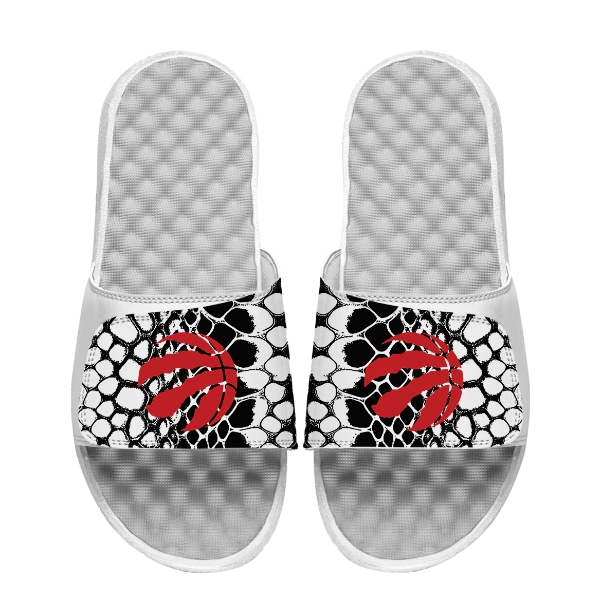 Toronto Raptors Year of the Snake 1