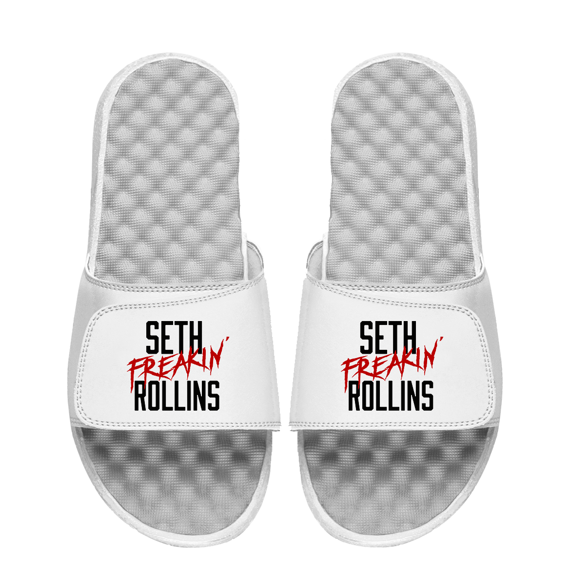 Seth Freakin Rollins Slides 1