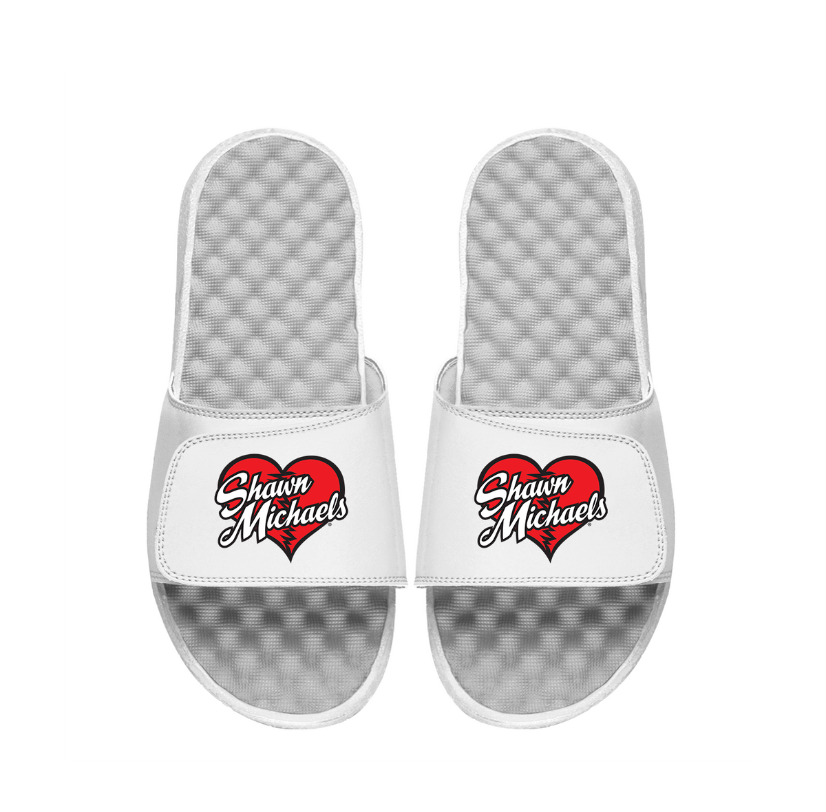 Shawn Michaels Heart Break Kid Slides 1