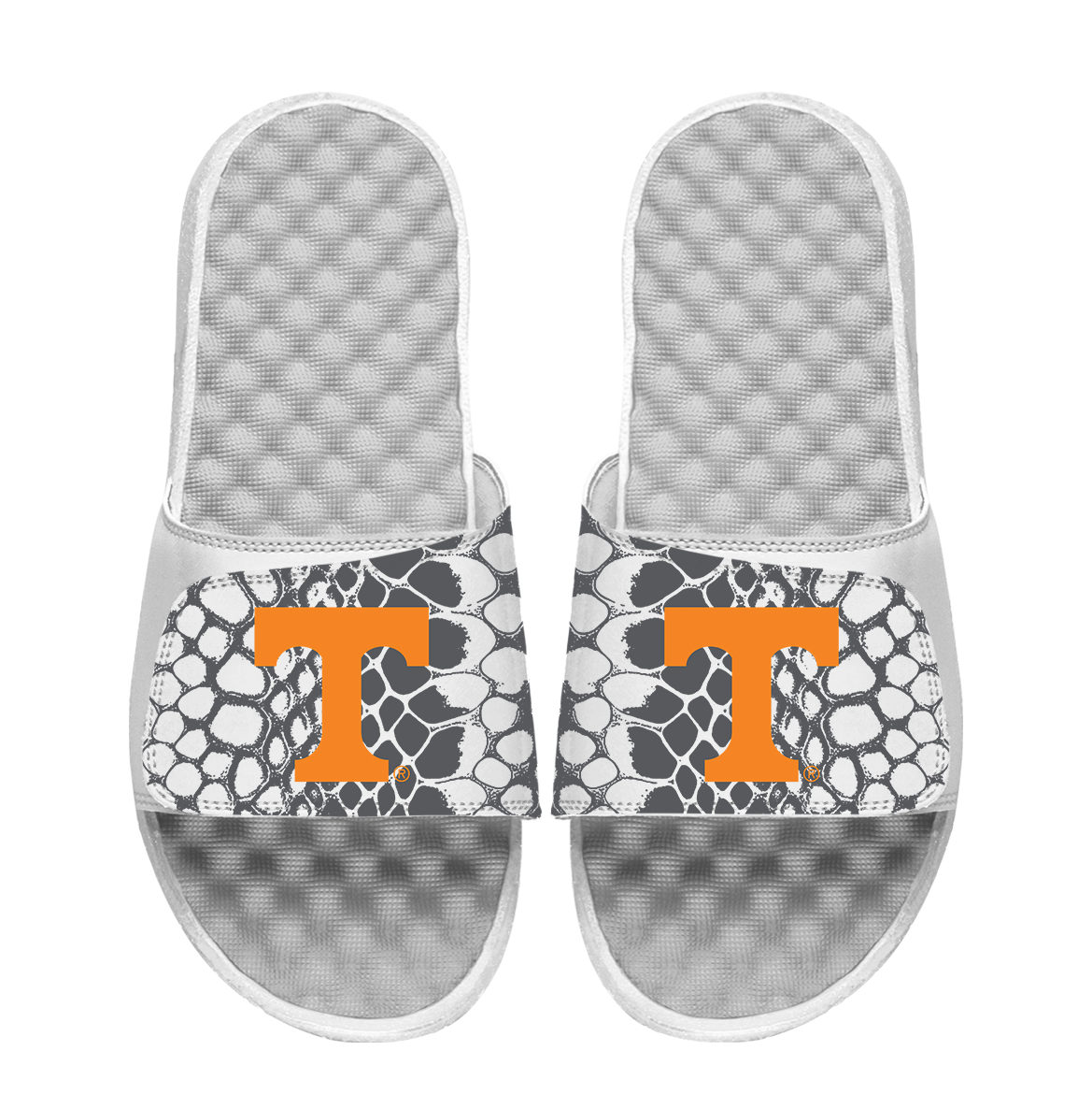 Tennessee Volunteers Year of the Snake 1