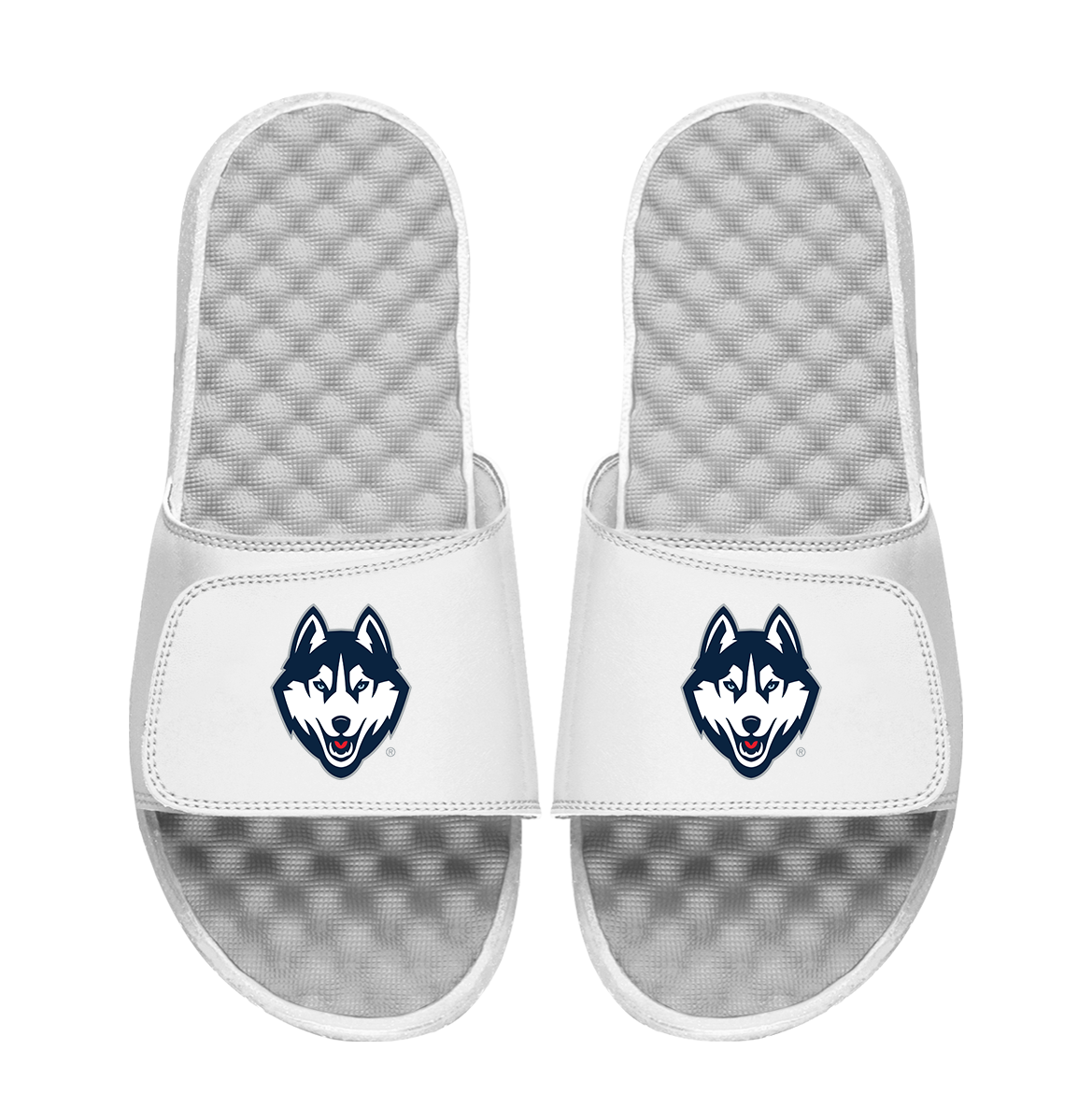 UConn Huskies Primary Logo 3