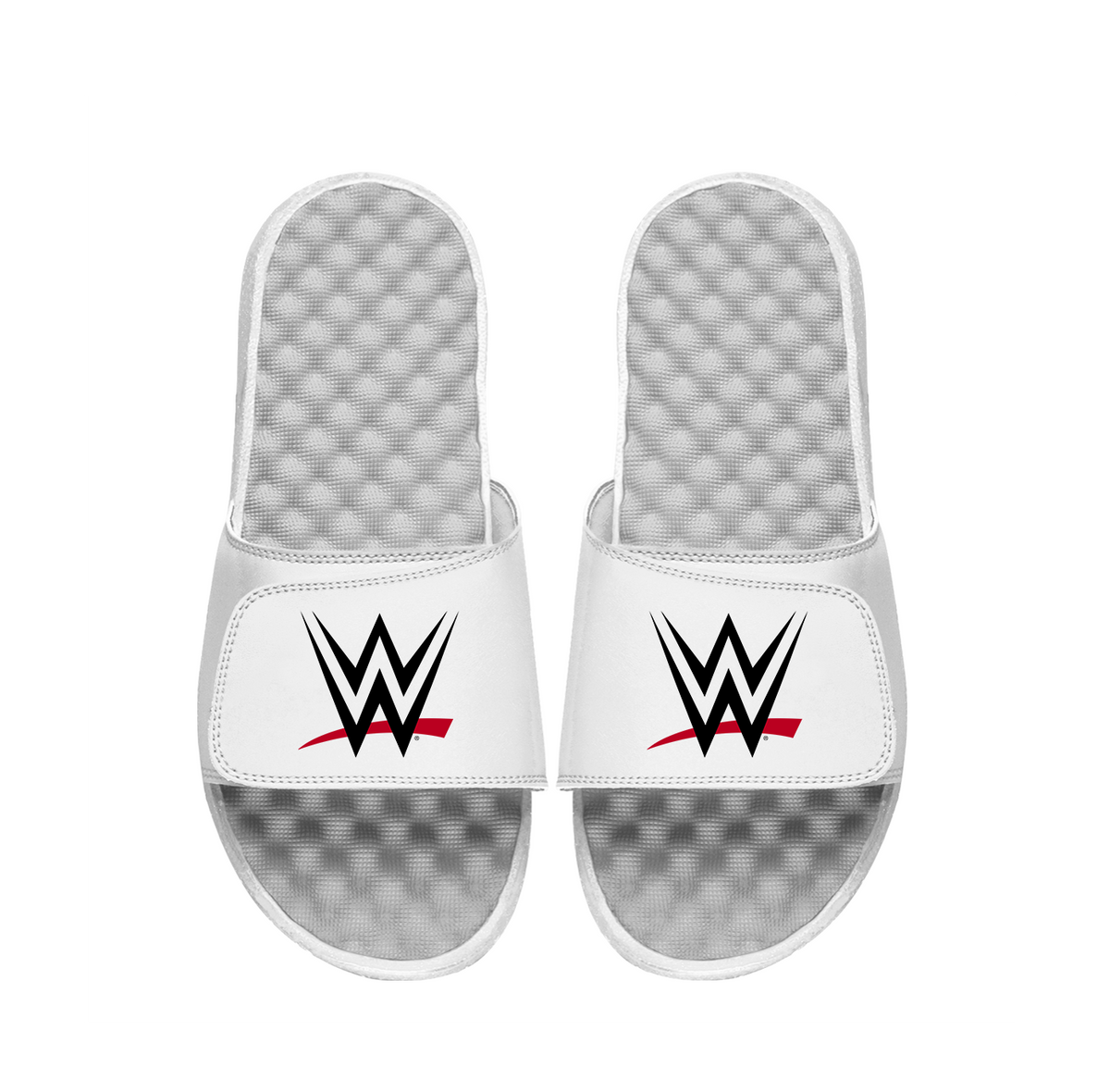 WWE Primary Logo Slides 1