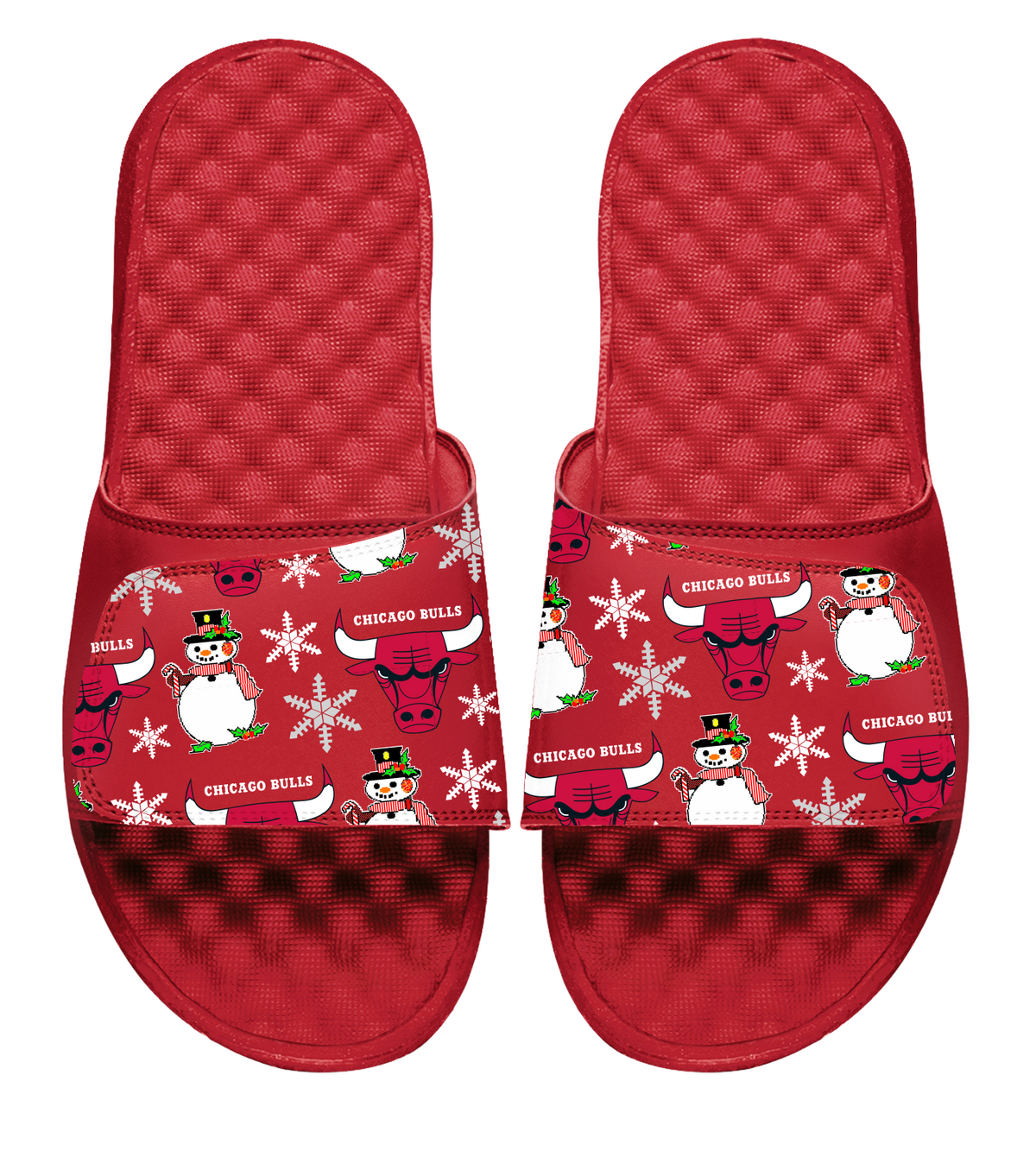 Chicago Bulls NBA Holiday Slides 1