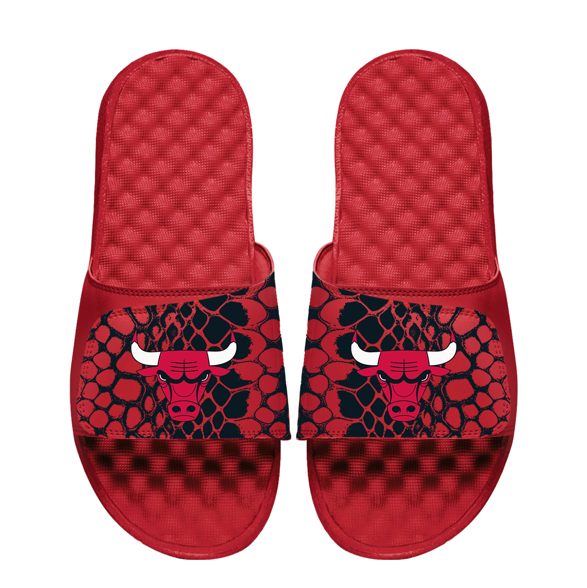 Chicago Bulls Year of the Snake 1