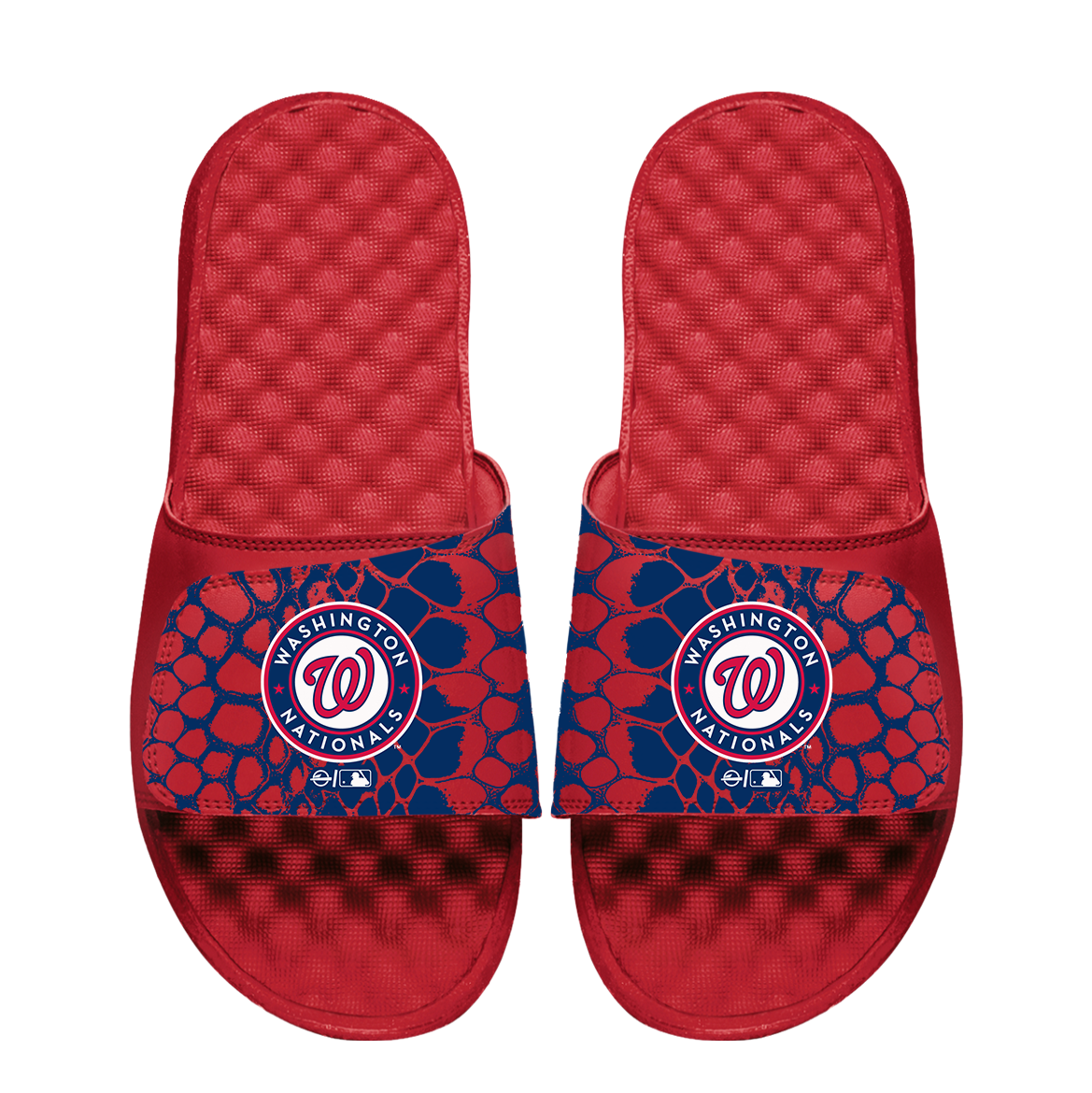 Washington Nationals Year of the Snake 1