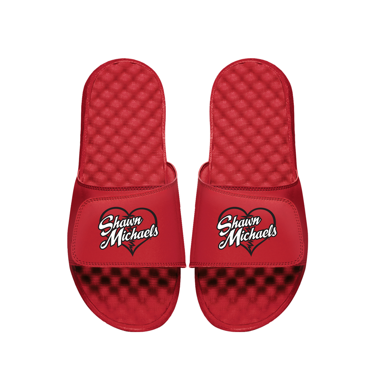 Shawn Michaels Heartbreak Slides 1