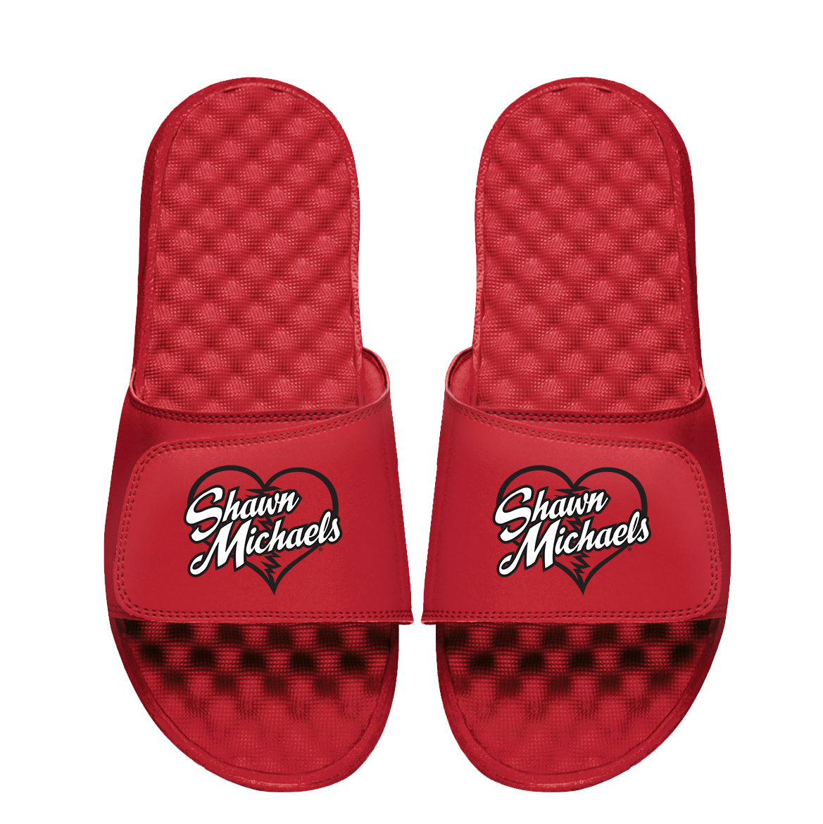 Shawn Michaels Heartbreak Slides 1