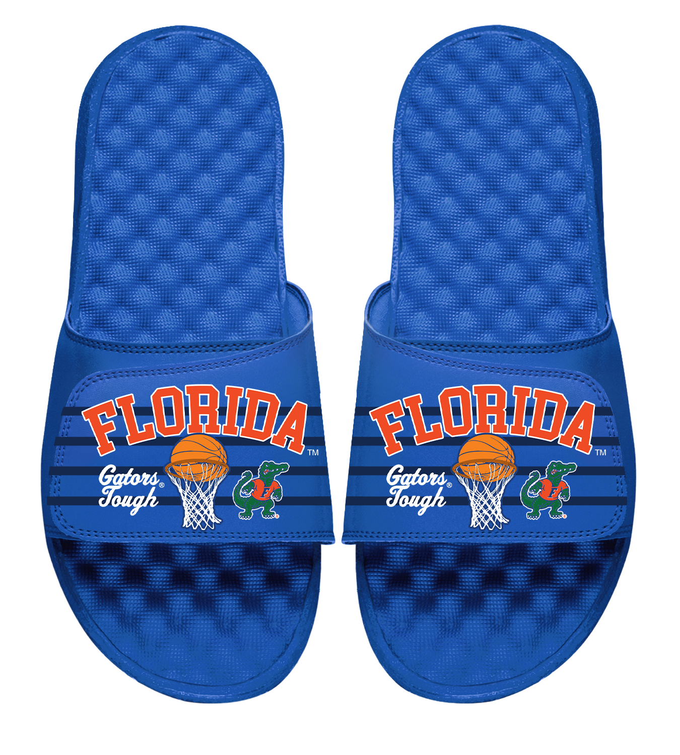 Florida Gators Basketball Collage