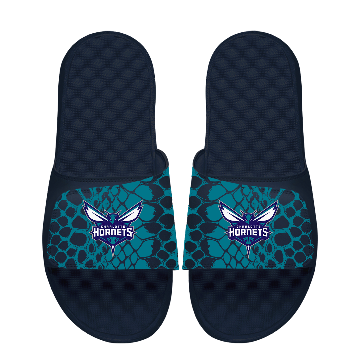 Charlotte Hornets Year of the Snake 1