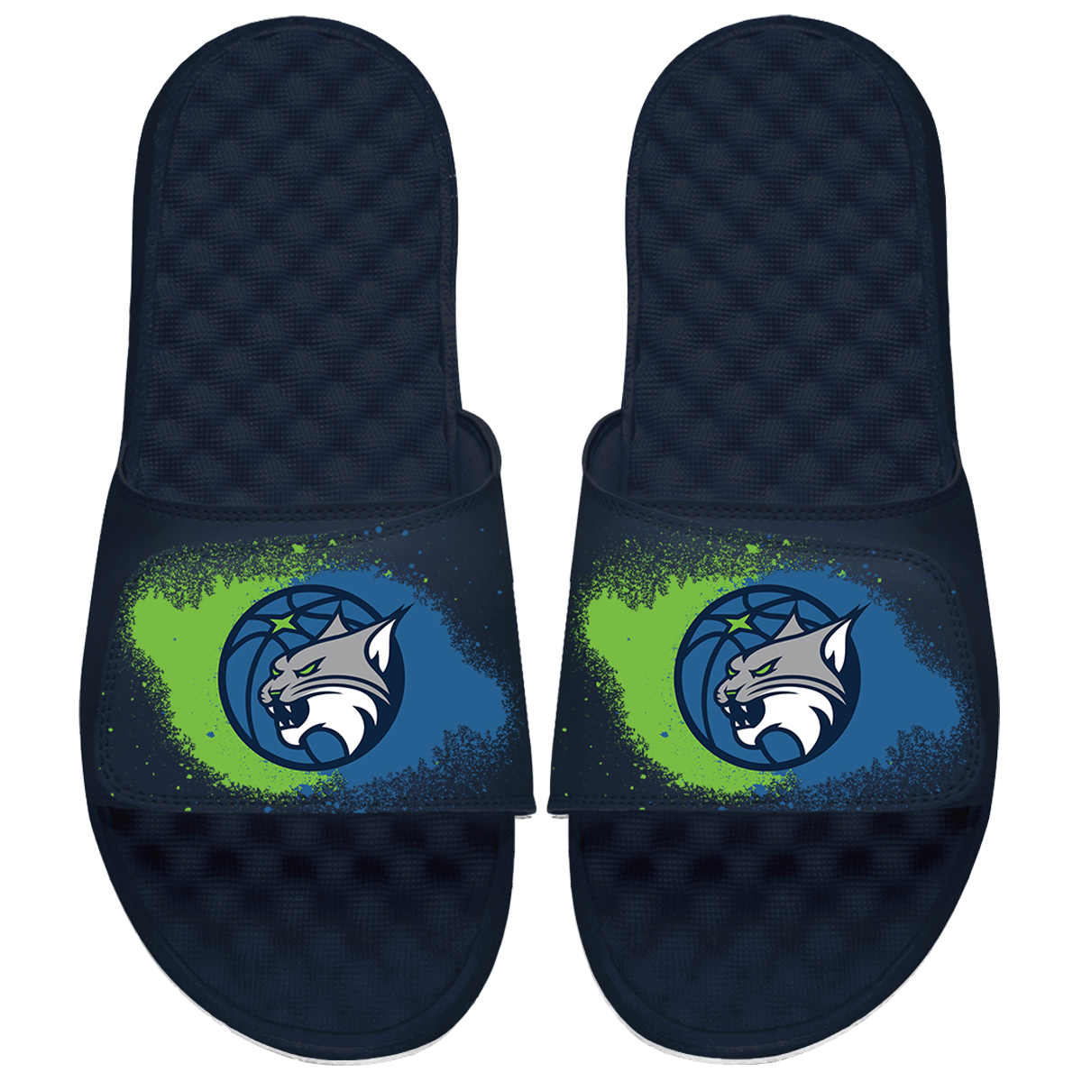 WNBA Minnesota Lynx Spray Paint 1