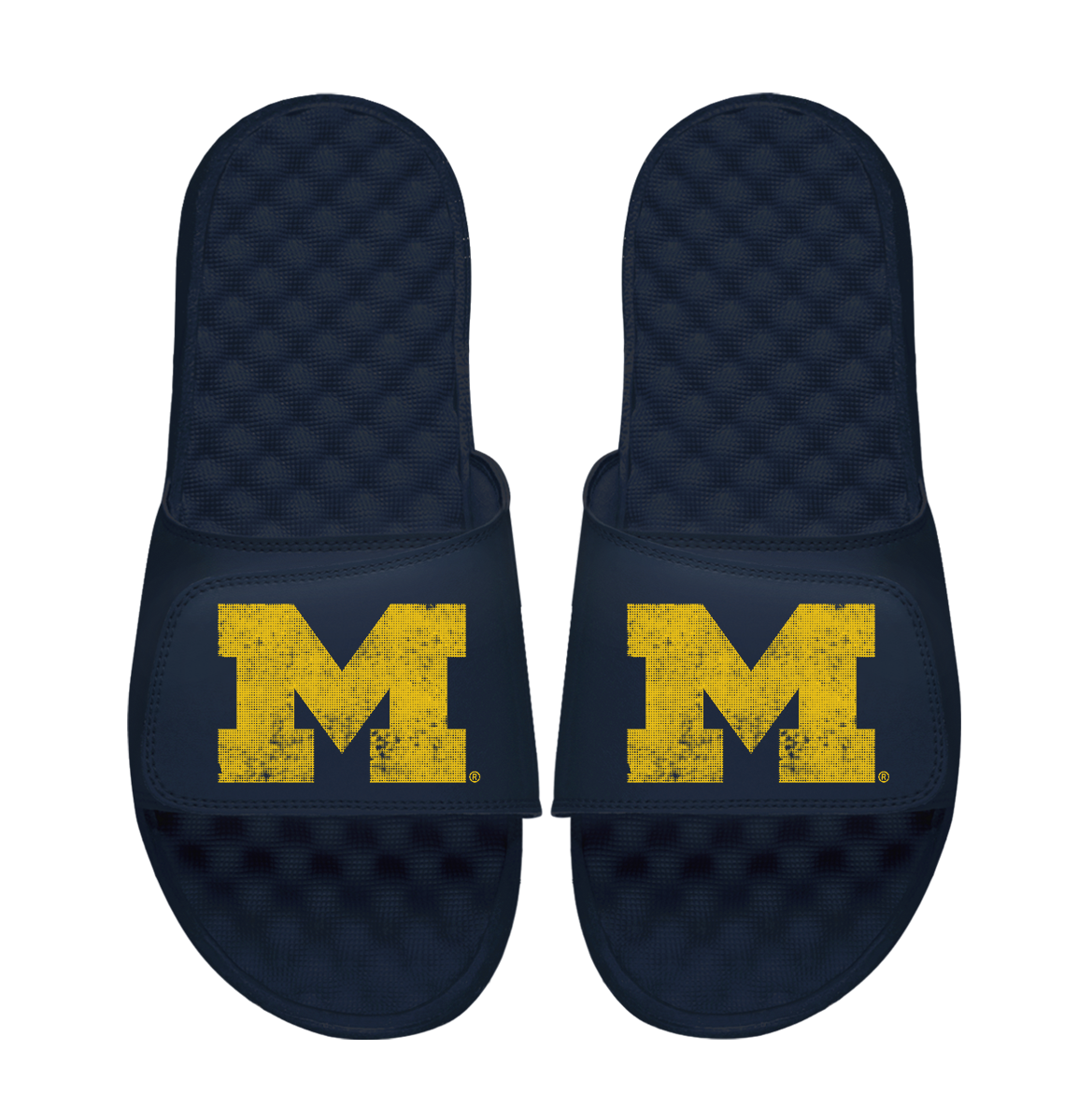 Michigan Wolverines Pixeled Distressed 1