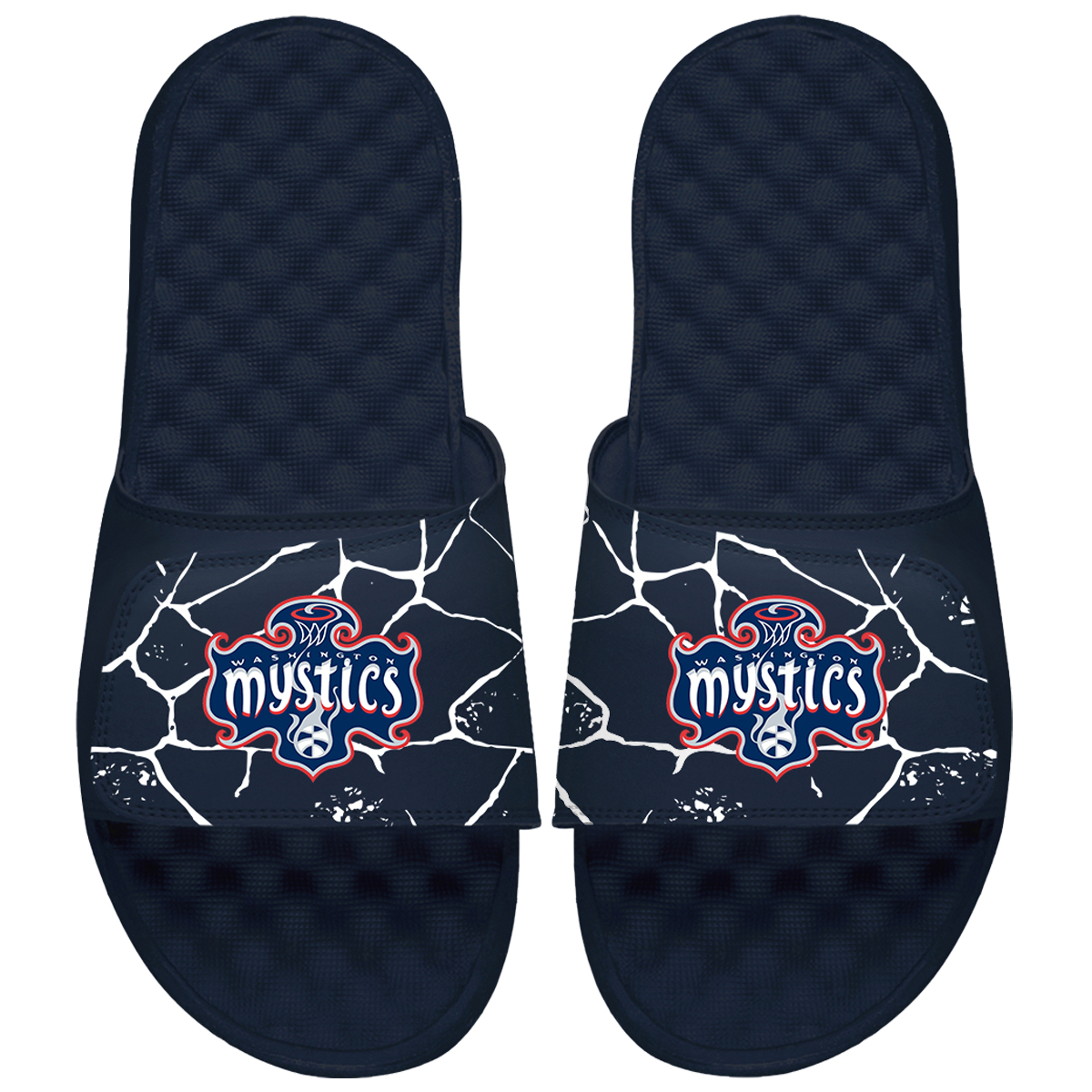 WNBA Washington Mystics Shattered 1