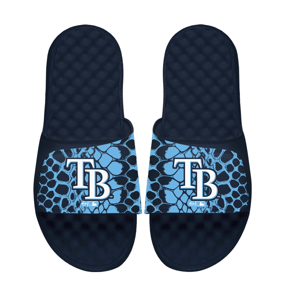 Tampa Bay Rays Year of the Snake 1