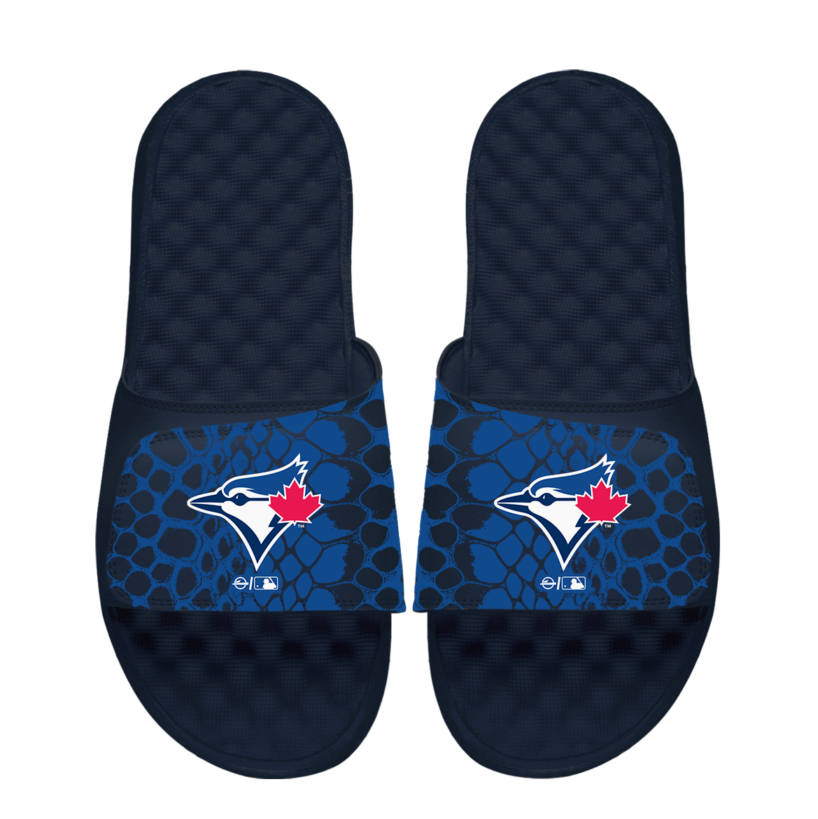 Toronto Blue Jays Year of the Snake 1