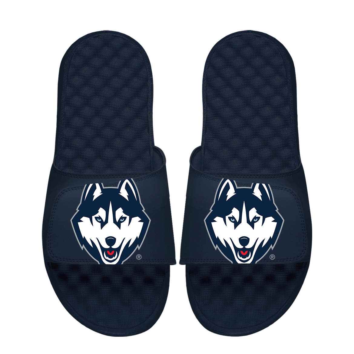 UConn Huskies Oversized Logo 3