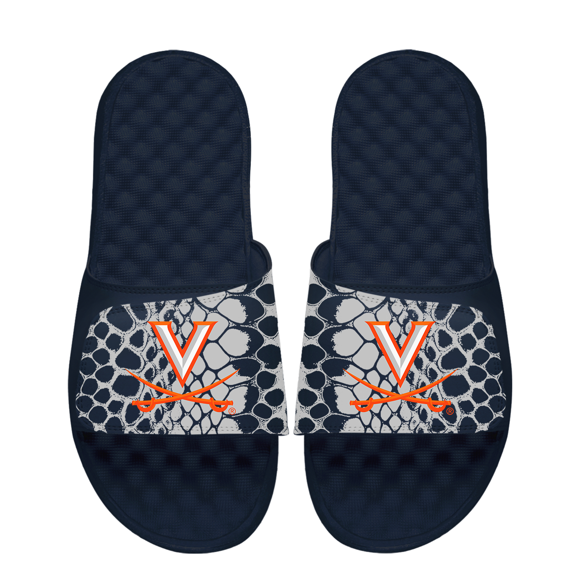 Virginia Cavaliers Year of the Snake 1