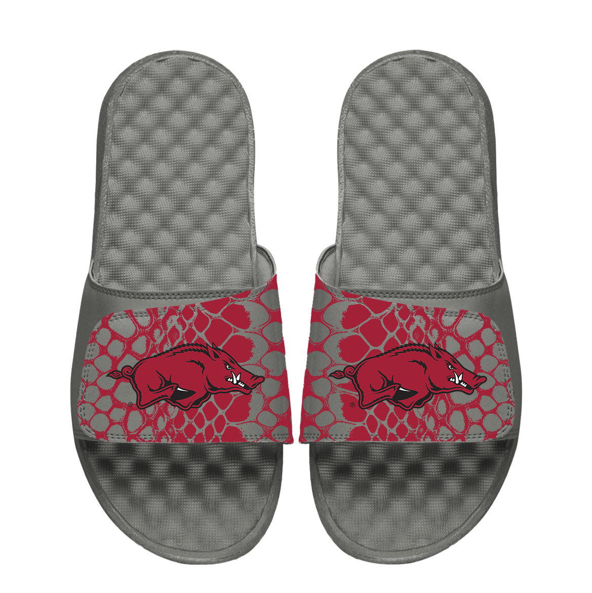 Arkansas Razorbacks Year of the Snake 1