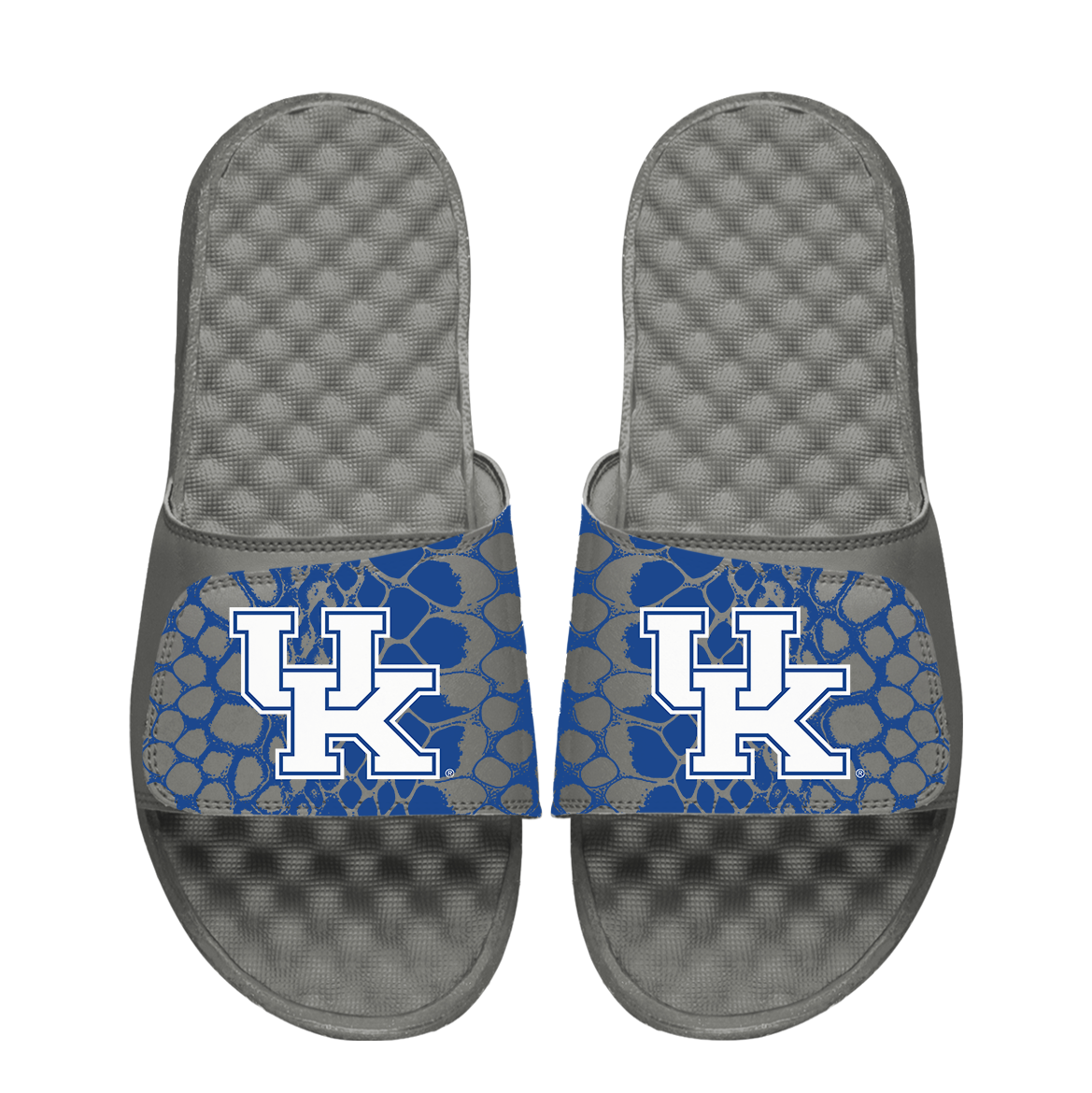 Kentucky Wildcats Year of the Snake 1