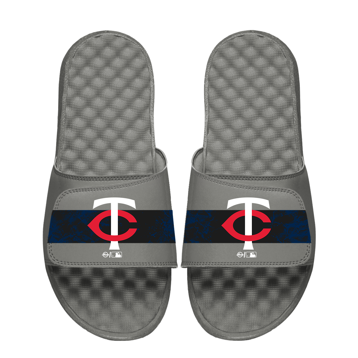 Minnesota Twins Distressed 1