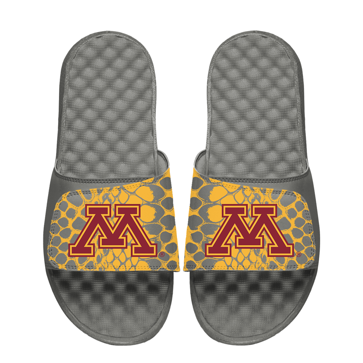 Minnesota Golden Gophers Year of the Snake