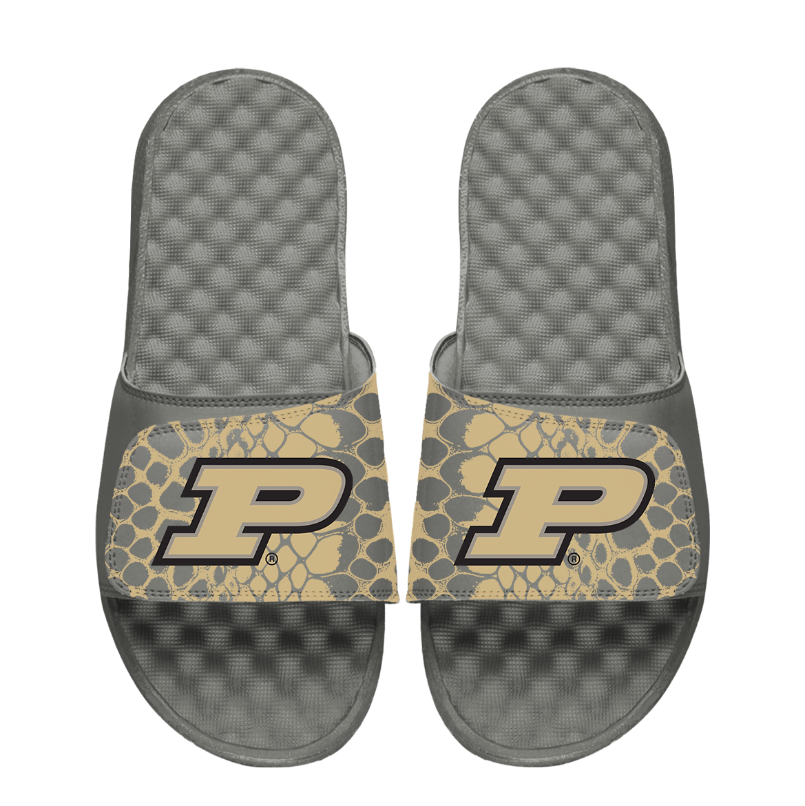 Purdue Boilermakers Year of the Snake 1