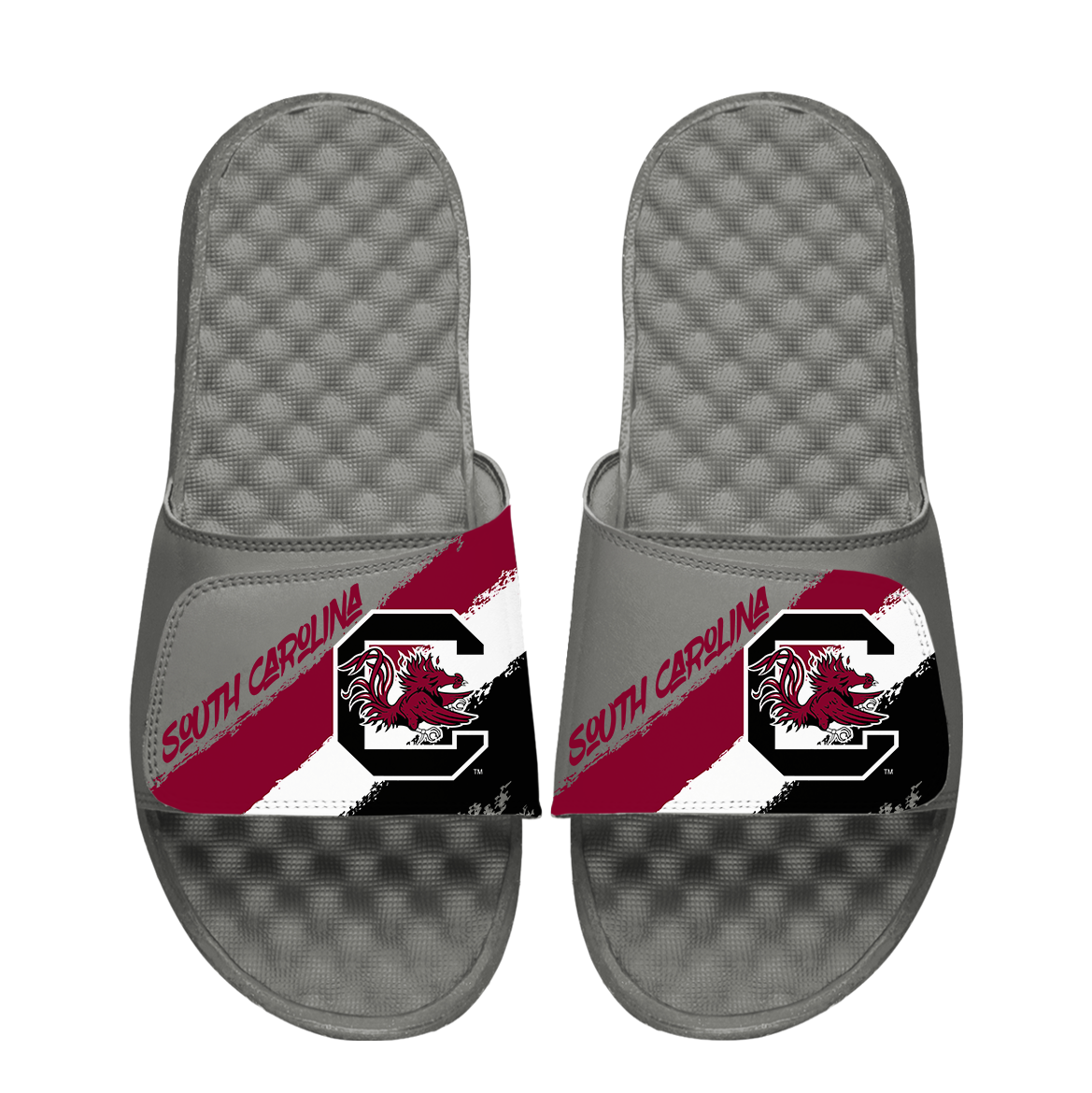 South Carolina Gamecocks Paint Stripes 1