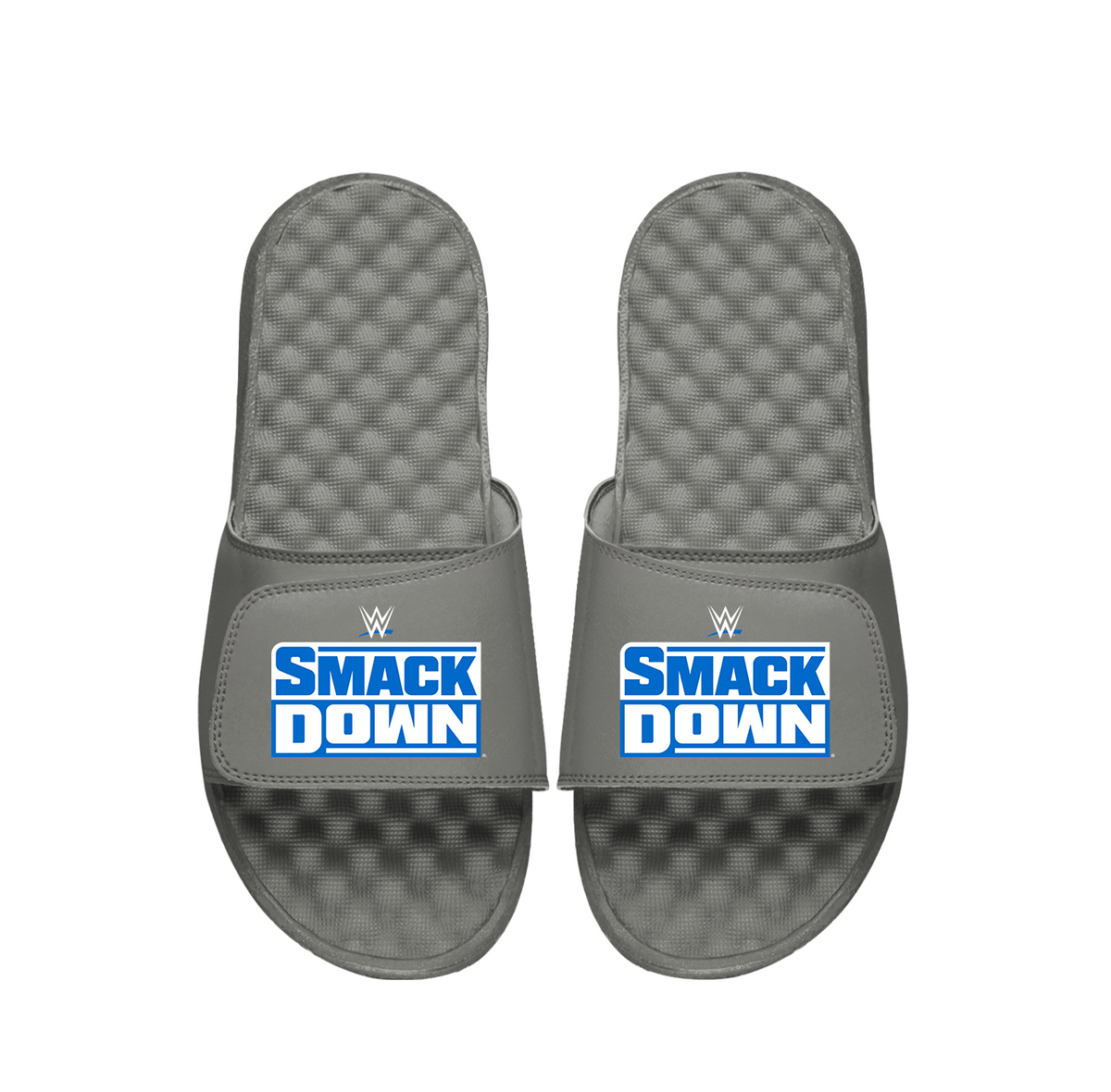 WWE Smackdown Slides 1