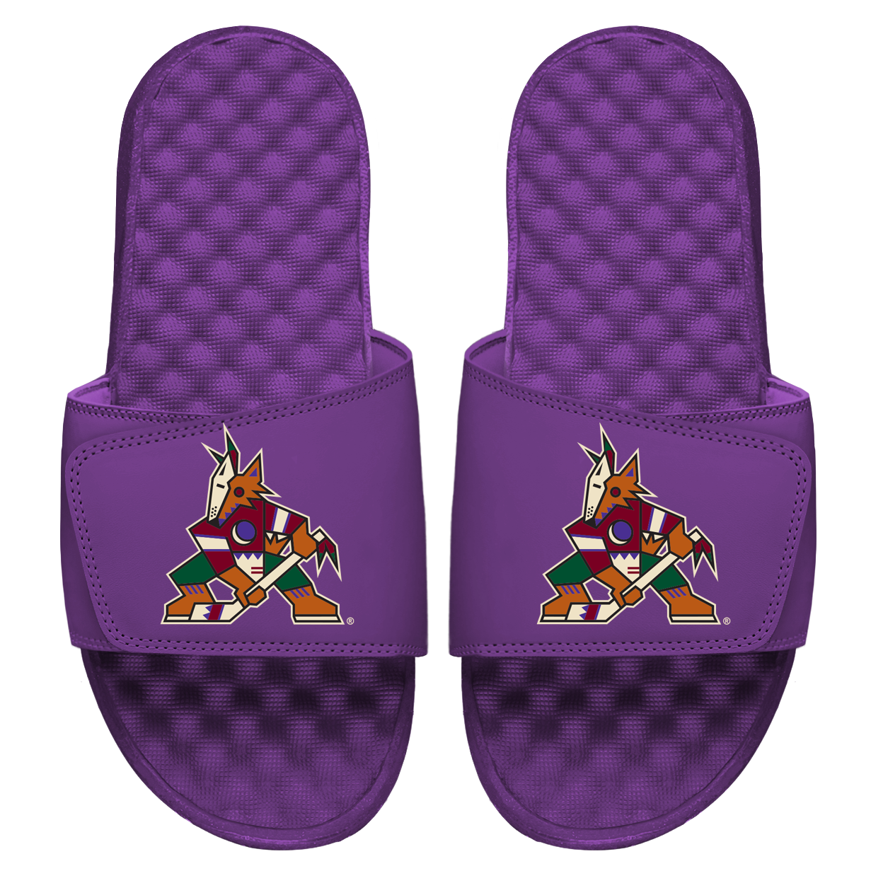 Arizona Coyotes Primary Slides 3