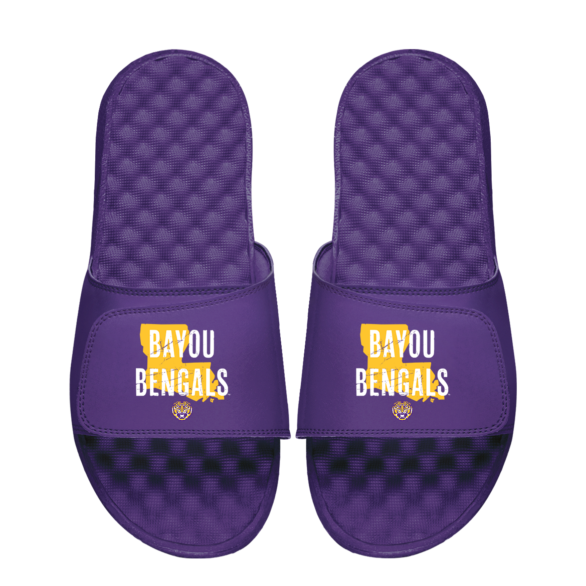 LSU Tigers Bayou Bengals 1
