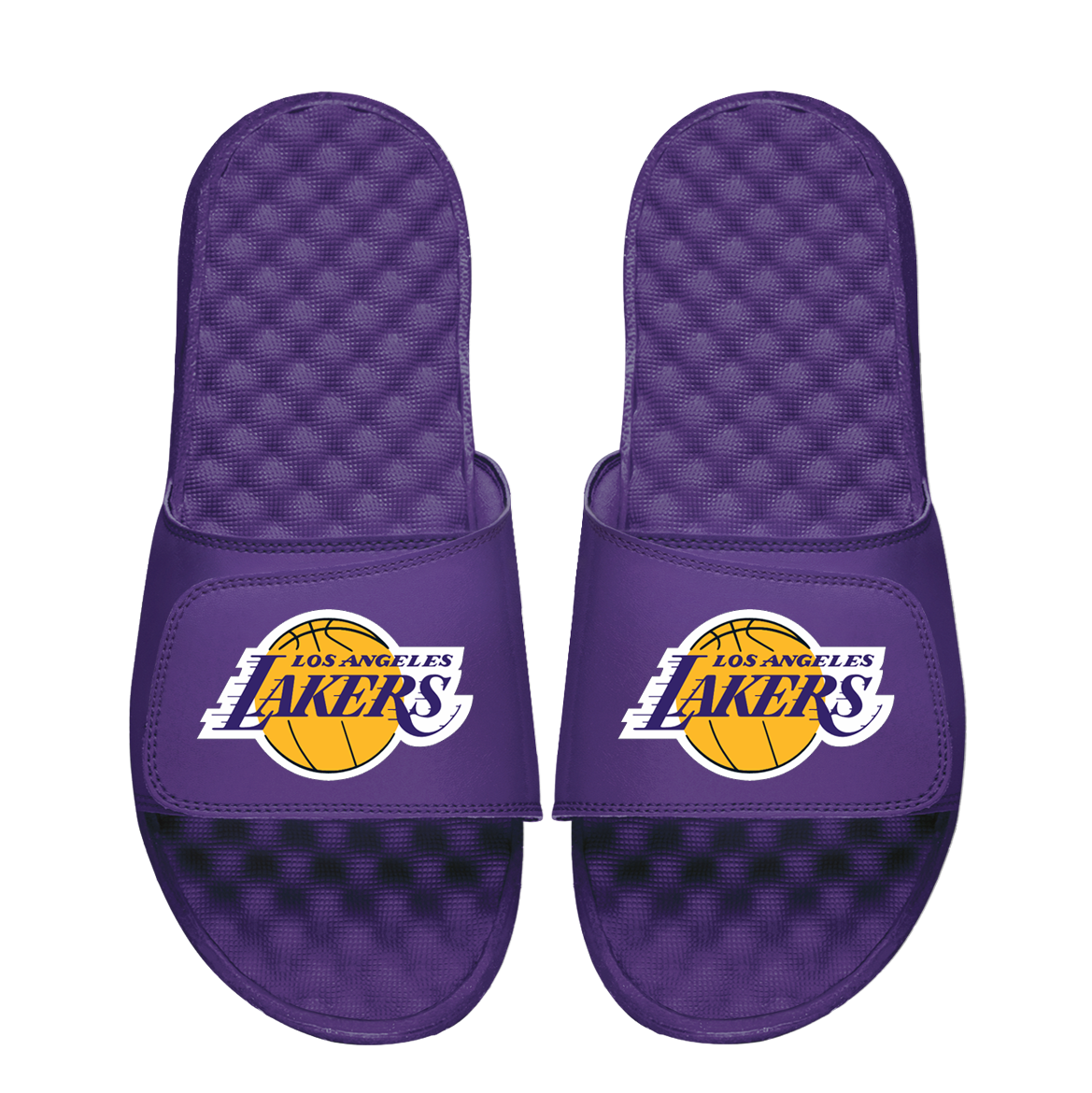 Los Angeles Lakers Primary Logo 4