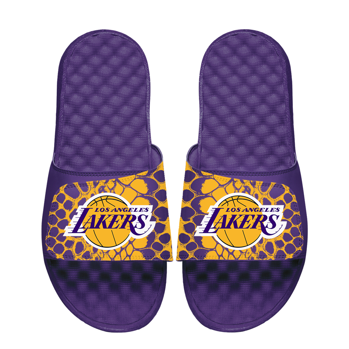 Los Angeles Lakers Year of the Snake 1