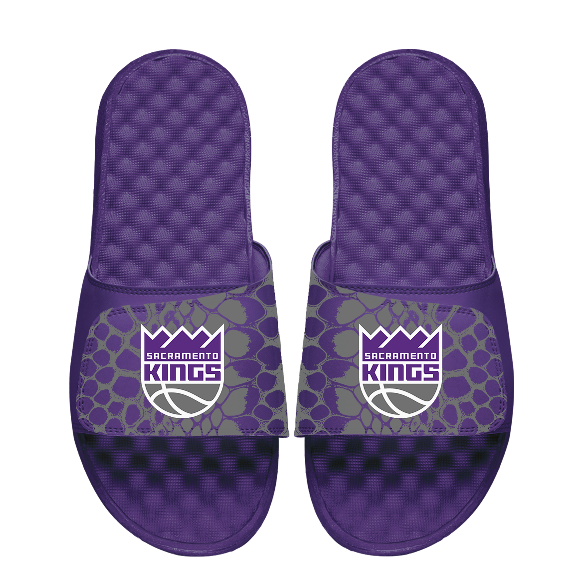 Sacramento Kings Year of the Snake 1