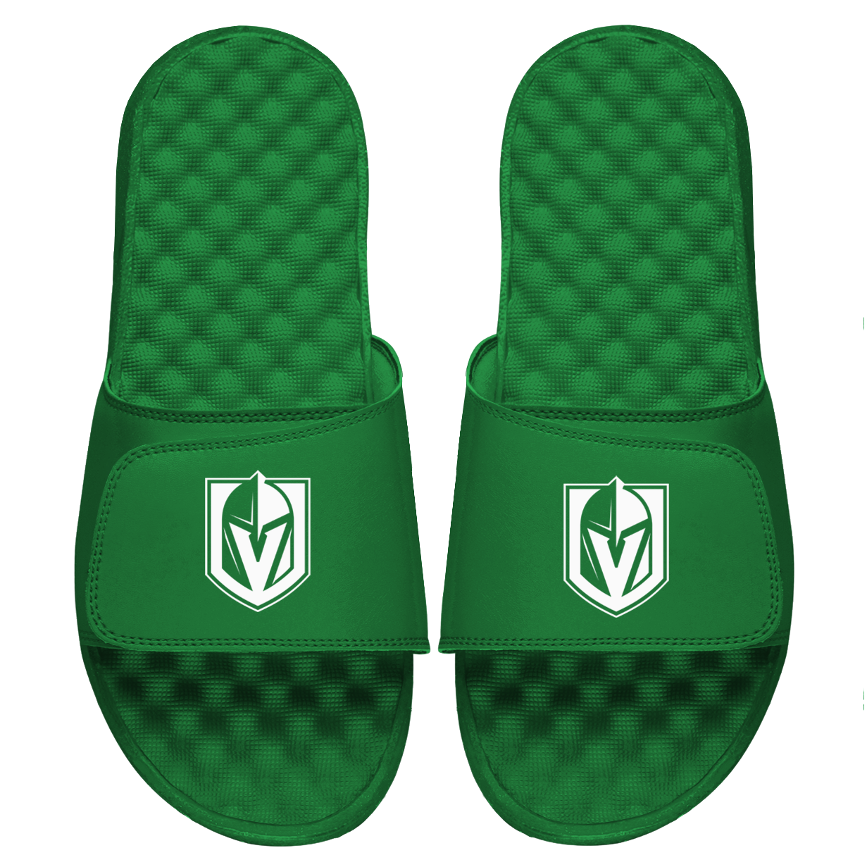 LV Golden Knights Whiteout Slides