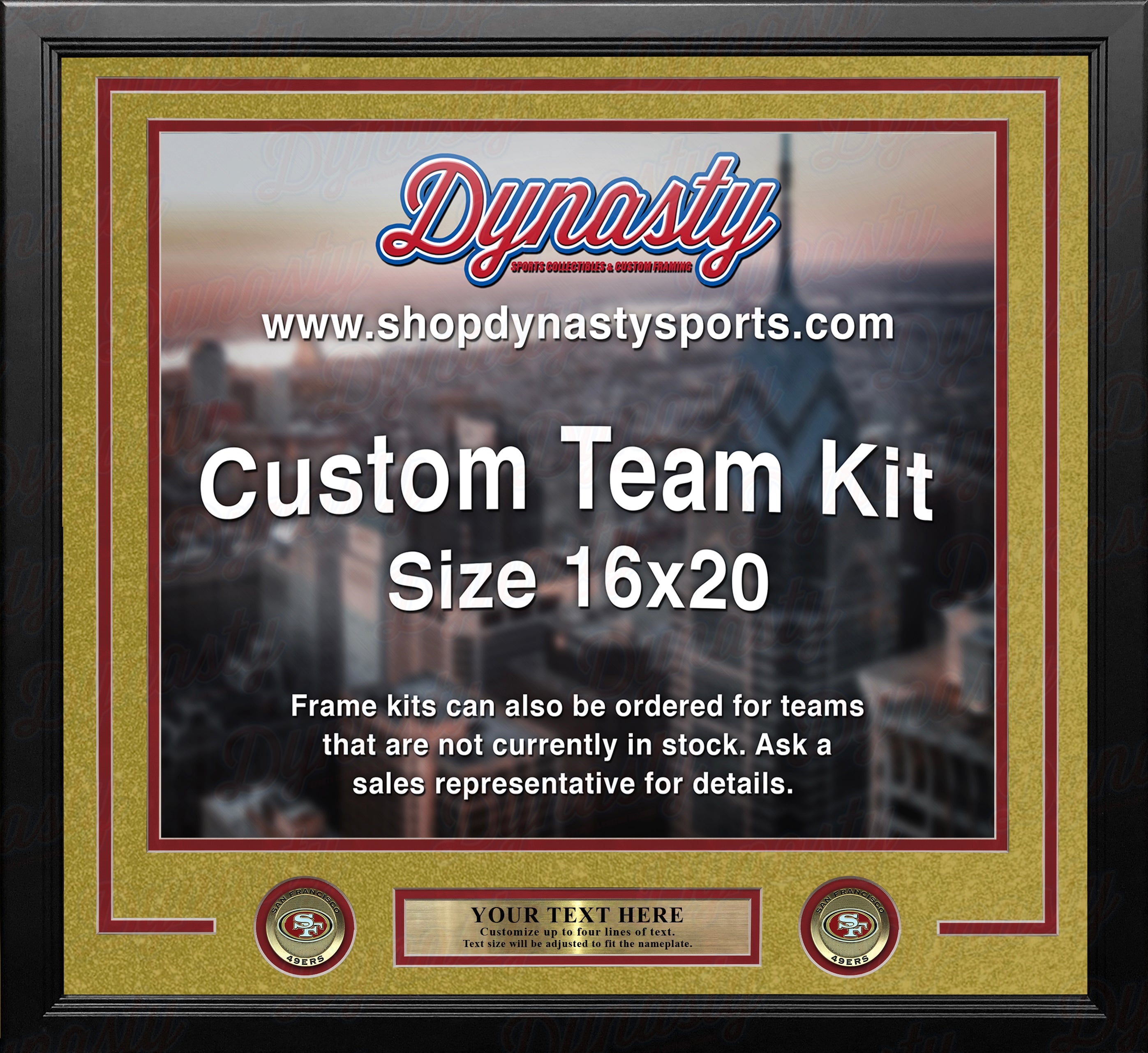San Francisco 49ers Gold Custom NFL Football 16x20 Picture Frame Kit 1