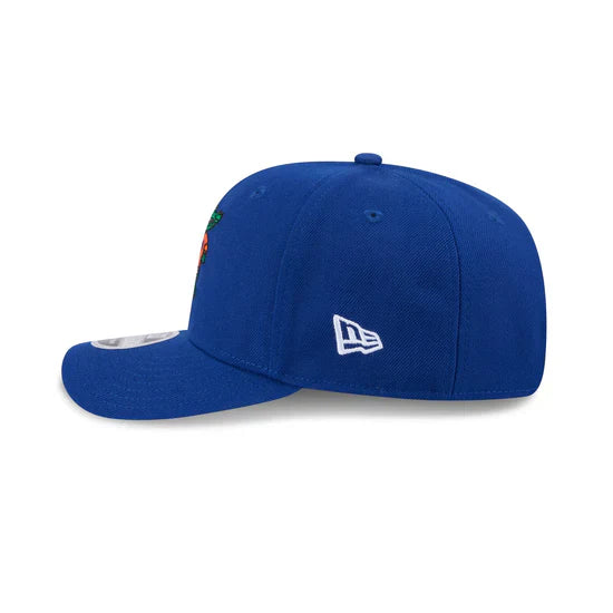Florida Gators - 9Seventy Wordmark Stretch-Snap Hat, New Era 4