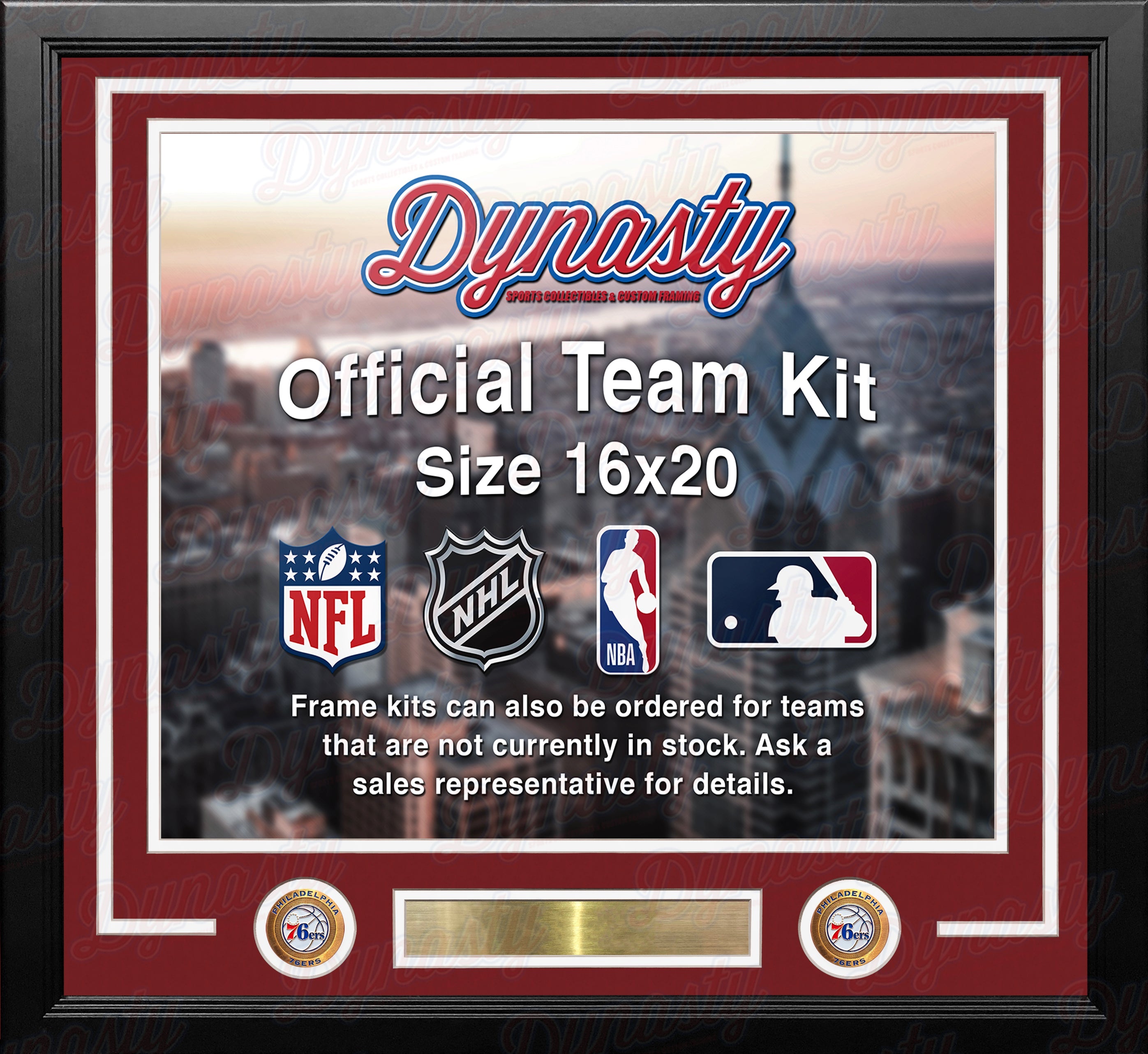 Philadelphia 76ers Custom NBA Basketball 16x20 Picture Frame Kit (Multiple Colors) 2
