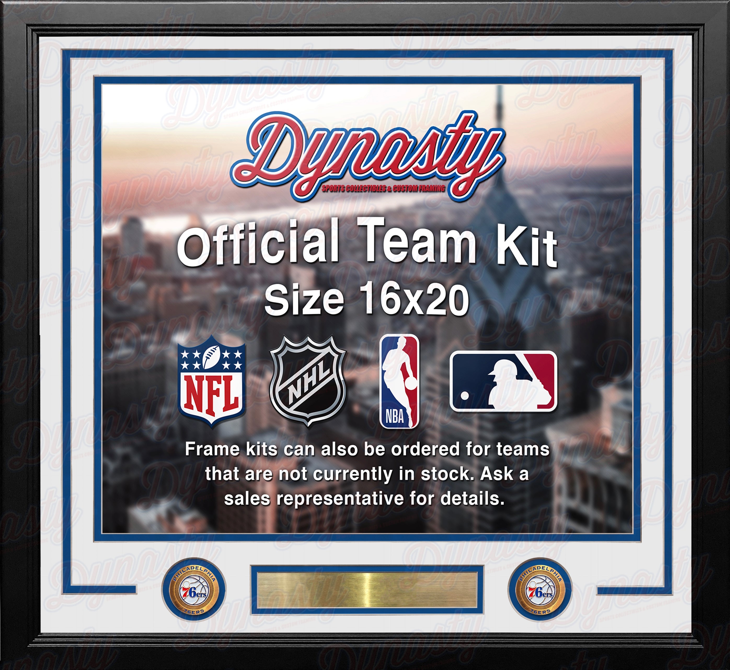 Philadelphia 76ers Custom NBA Basketball 16x20 Picture Frame Kit (Multiple Colors) 3